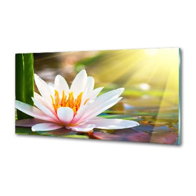 Spatplaat keuken Waterlelie