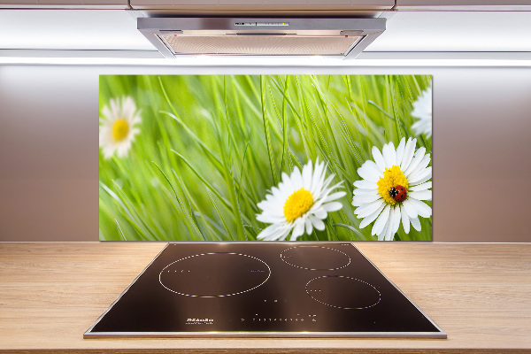 Keuken achterwand Madeliefjes