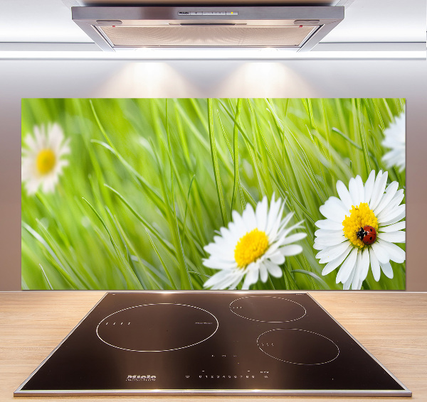 Keuken achterwand Madeliefjes