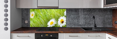 Keuken achterwand Madeliefjes