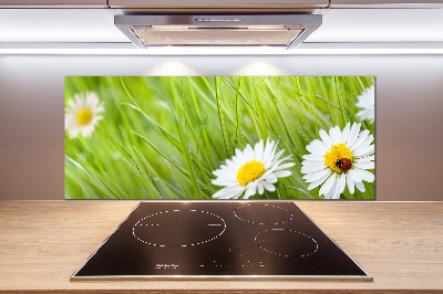 Keuken achterwand Madeliefjes