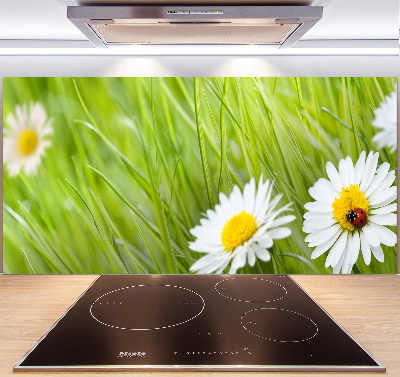 Keuken achterwand Madeliefjes