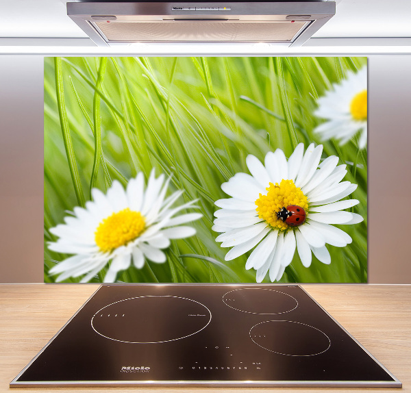 Keuken achterwand Madeliefjes