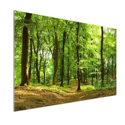 Keuken achterwand Bospad