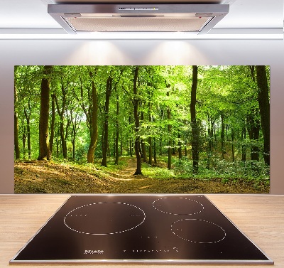 Keuken achterwand Bospad