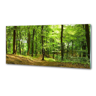 Keuken achterwand Bospad