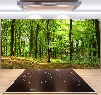 Keuken achterwand Bospad