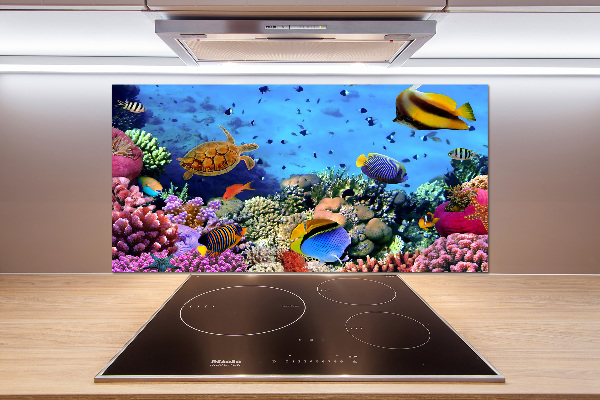 Glazen achterwand keuken Koraalrif
