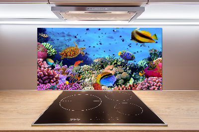 Glazen achterwand keuken Koraalrif