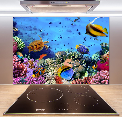 Glazen achterwand keuken Koraalrif