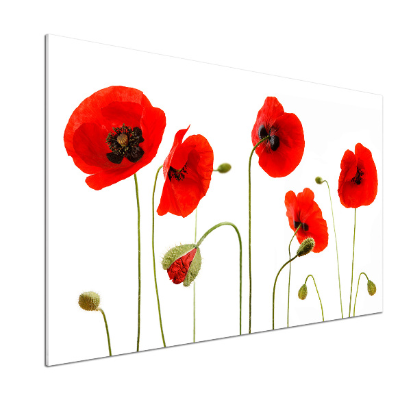 Glazen achterwand keuken Klaprozen