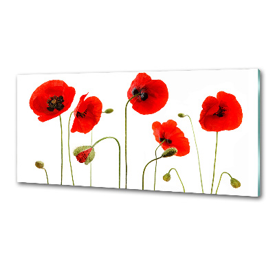 Glazen achterwand keuken Klaprozen