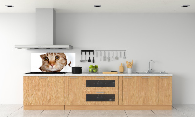 Achterwand keuken Kat