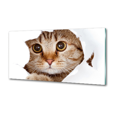 Achterwand keuken Kat