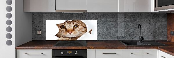 Achterwand keuken Kat