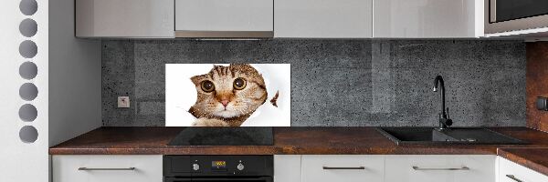 Achterwand keuken Kat