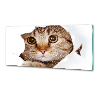 Achterwand keuken Kat