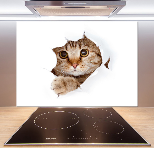 Achterwand keuken Kat
