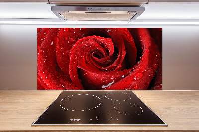 Spatplaat keuken Druppels op een roos