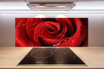 Spatplaat keuken Druppels op een roos