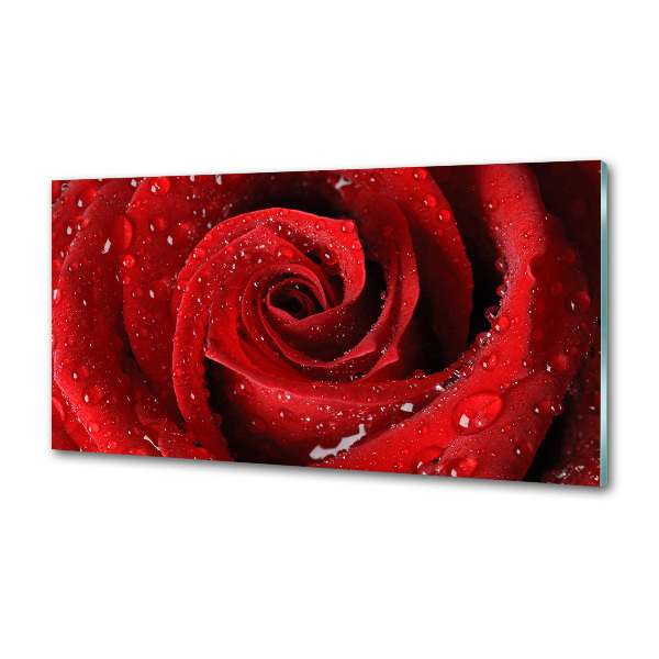 Spatplaat keuken Druppels op een roos