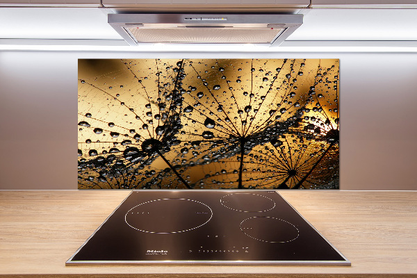 Keuken achterwand Paardenbloemzaden