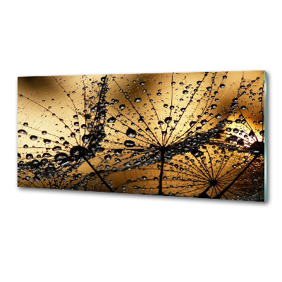 Keuken achterwand Paardenbloemzaden