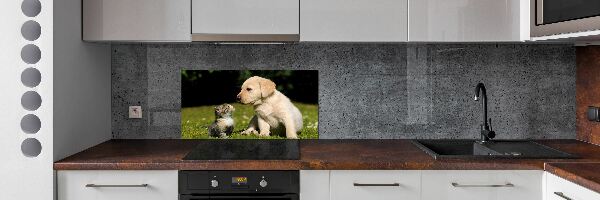 Spatplaat keuken Hond en kat in de wei