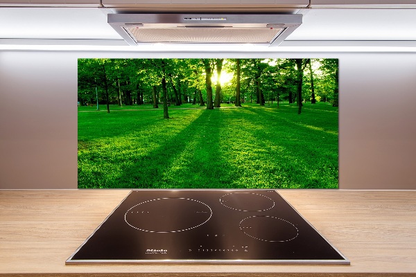 Spatplaat keuken Gras in het park