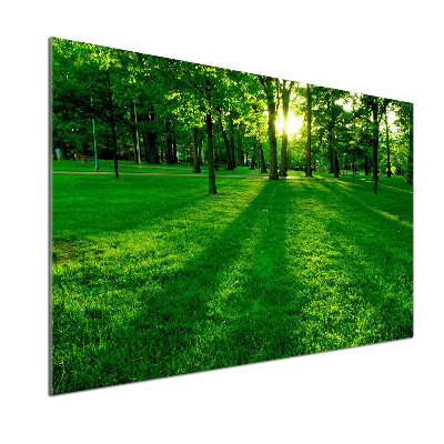 Spatplaat keuken Gras in het park