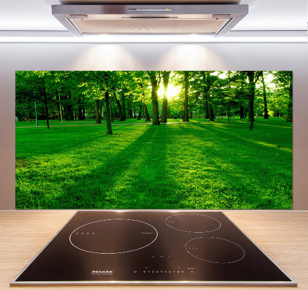 Spatplaat keuken Gras in het park