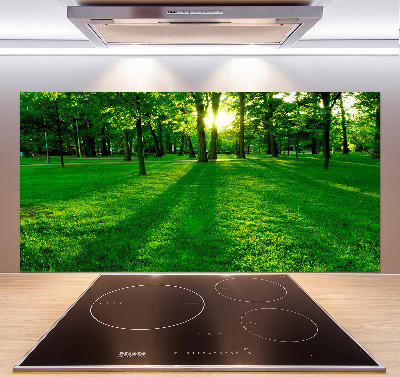 Spatplaat keuken Gras in het park