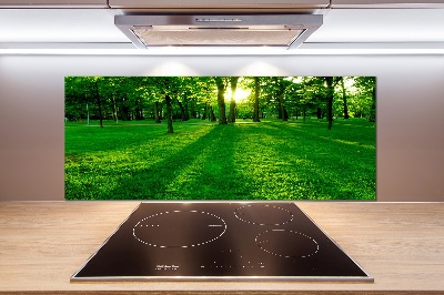 Spatplaat keuken Gras in het park