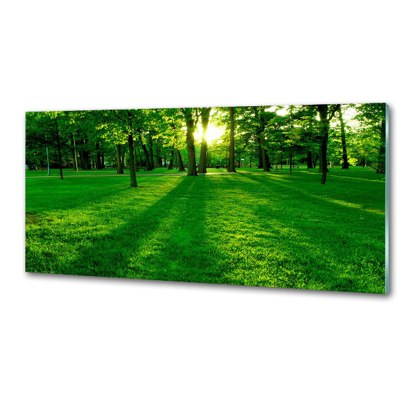 Spatplaat keuken Gras in het park