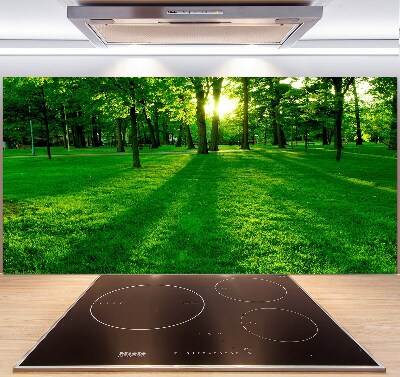 Spatplaat keuken Gras in het park