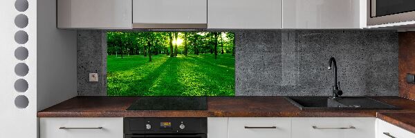 Spatplaat keuken Gras in het park