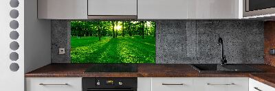 Spatplaat keuken Gras in het park