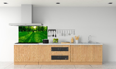 Spatplaat keuken Gras in het park