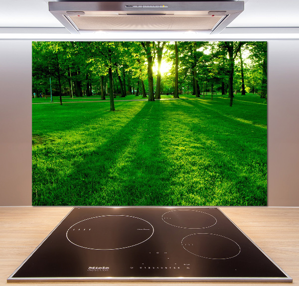 Spatplaat keuken Gras in het park