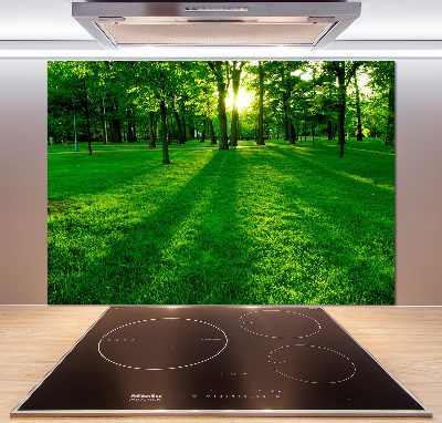 Spatplaat keuken Gras in het park