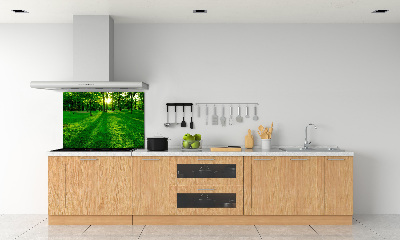 Spatplaat keuken Gras in het park