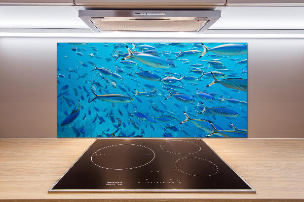 Keuken achterwand Koraalvis