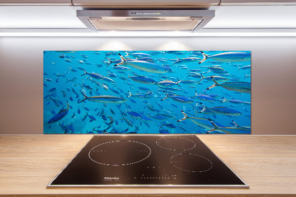 Keuken achterwand Koraalvis