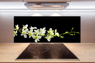 Spatscherm keuken Orchidee