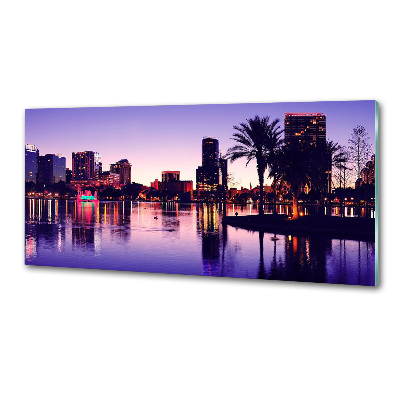 Keuken achterwand Orlando, VS