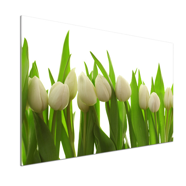 Keuken achterwand Witte tulpen