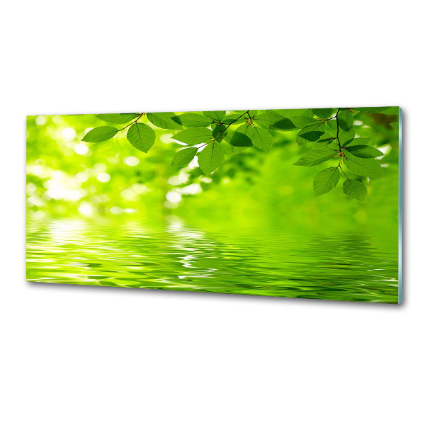 Glazen achterwand keuken Groene bladeren