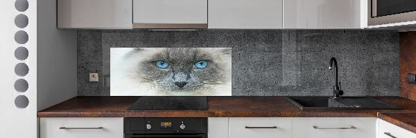 Achterwand keuken Blauwogige kat