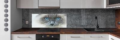 Achterwand keuken Blauwogige kat