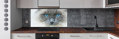 Achterwand keuken Blauwogige kat